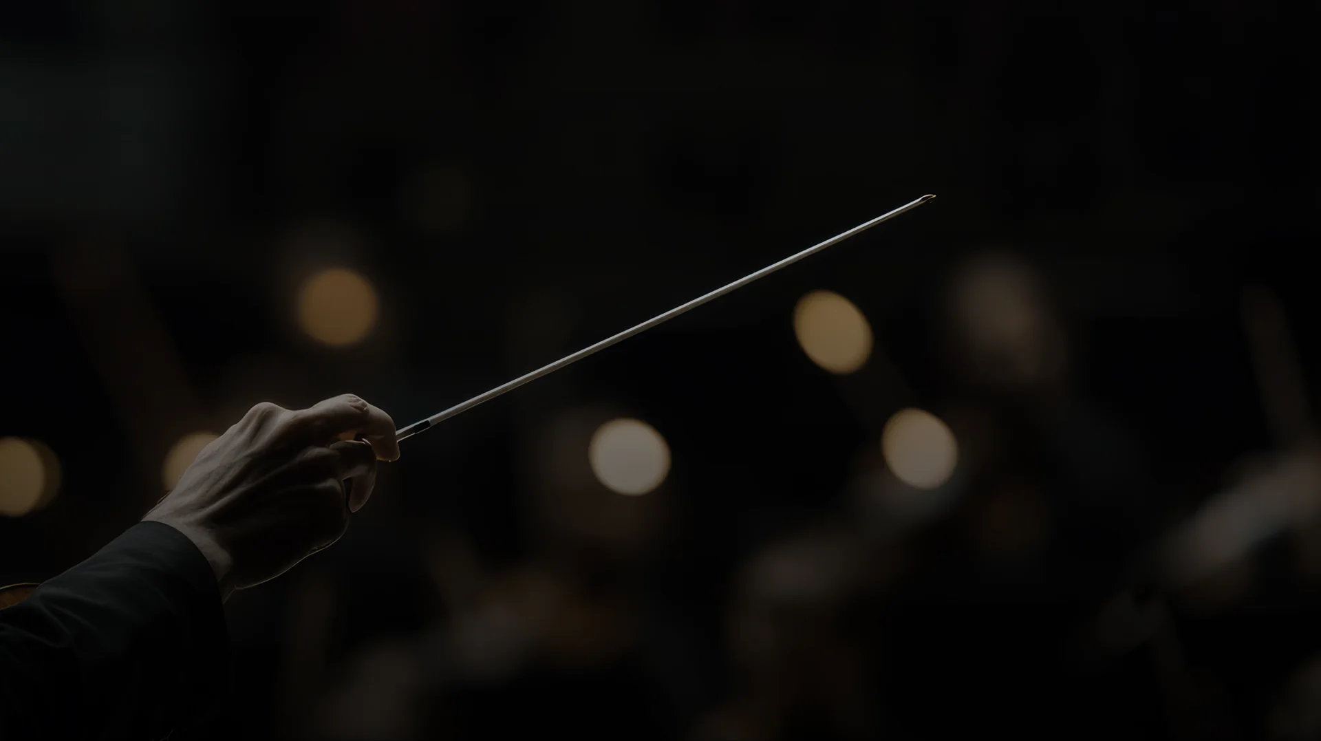 Instrumentos de cuerda en concierto